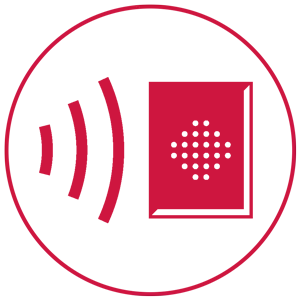 Audio Intrusion